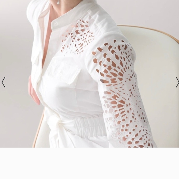 White House Black Market White LS Poplin Shirtdress With Cutouts Size 10 NWT - Picture 4 of 12